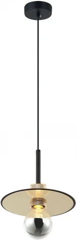 Подвесной светильник LSP-8488 (220V, на проводе, IP21)