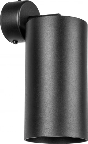 Спот Lightstar Rullo RB6487 (220V)