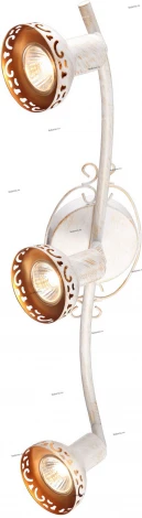 Спот Arte Lamp Focus A5219PL-3WG