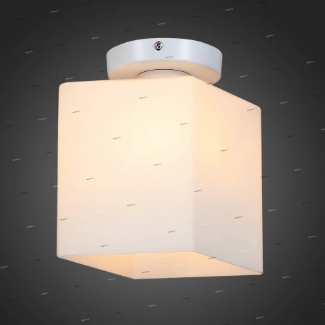 Настенно-потолочный светильник ST Luce Aspetto SL548.501.01