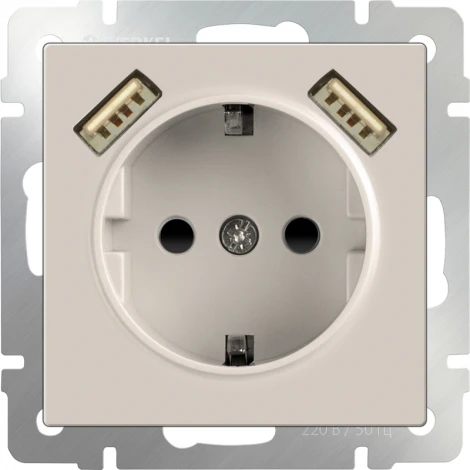 Розетка с заземлением, шторками и USBх2 (слоновая кость) Werkel W1171503 (a051486)