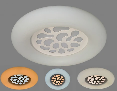 Потолочный светильник круглый Мелодия Света SS1L 000024989