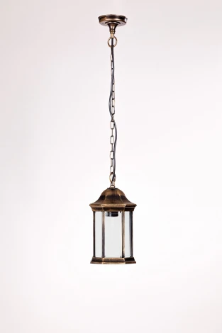 Уличный светильник подвесной Oasis Light Bern 2 S 89805