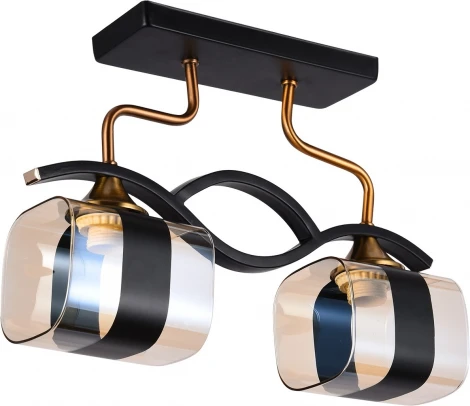 Потолочная люстра Reluce 72106-0.3-02 BK+GAB (220V)