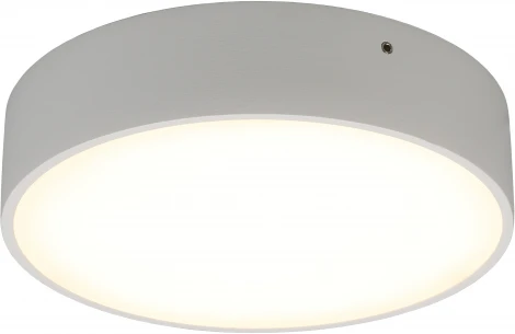 Потолочный светильник круглый Aployt Evon APL.0113.09.18 (LED, 220V, круглые)