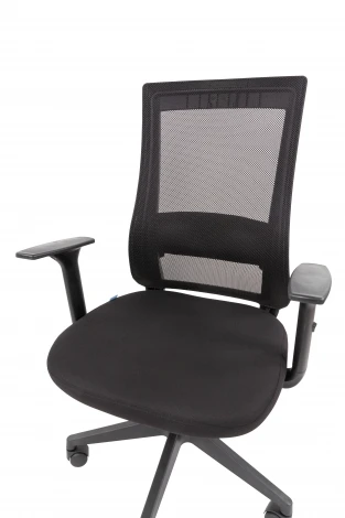 Офисное кресло Chairman 500LT Россия ткань T черный/TW-01 черный Б/П 7187919