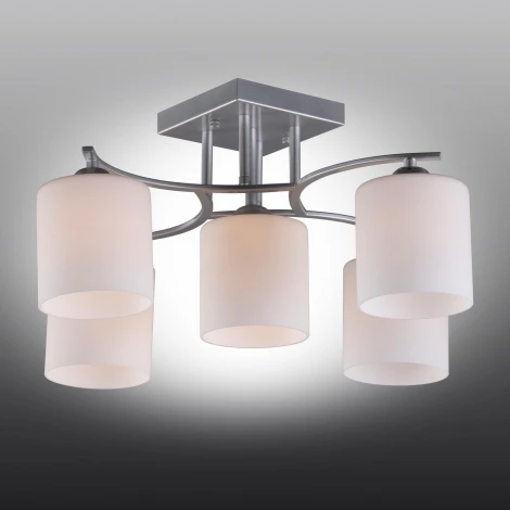 Потолочная люстра Omnilux Pisticci OML-55307-05 (220V)