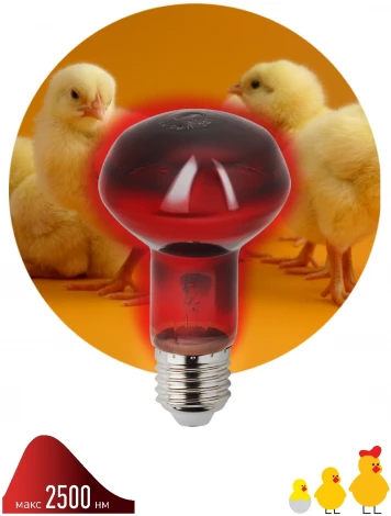 Инфракрасная лампа ЗРА ИКЗК 230-60 R63 Е27 для обогрева животных 60 Вт ЭРА
