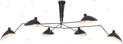 Потолочная люстра ST Luce Spruzzo SL305.402.06 (220V)