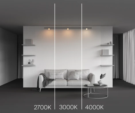 Трековый светильник магнитный 3W 24V Maytoni Luna TR185-1-3W2.7K-B (LED, шар)