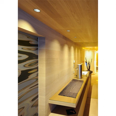 Встраиваемый точечный светильник Slv Horn 112910