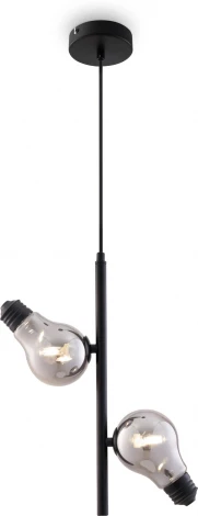 Подвесной светильник Freya Evidence FR5372PL-02B (220V, на проводе)