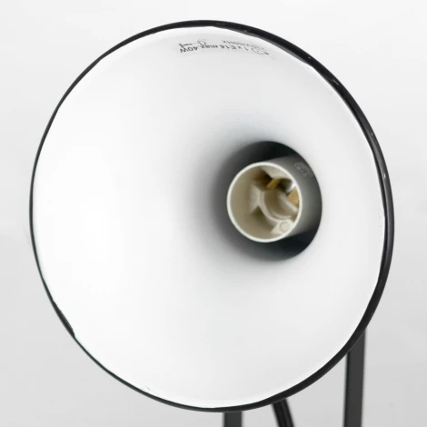 Спот Lussole Fargo LSP-8802 (220V)