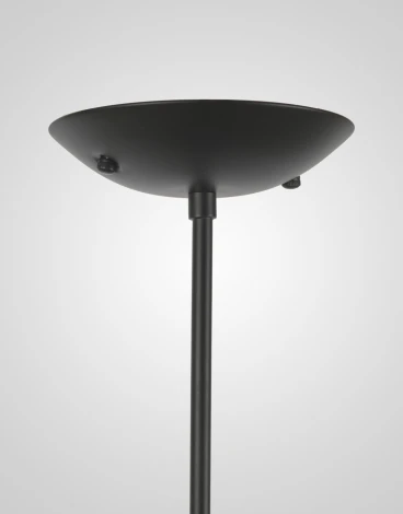 Потолочная люстра на штанге Мелодия Света SL1N 000024919