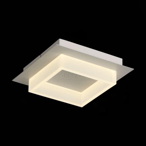 Настенно-потолочный светильник ST Luce Cubico SL831.501.01