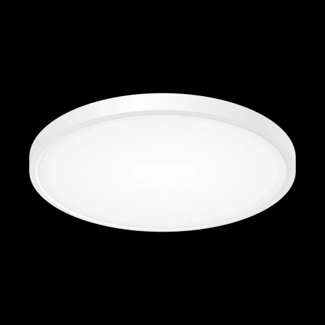 Потолочный светильник круглый Citilux Бейсик CL738320V (LED, 220V, IP40)