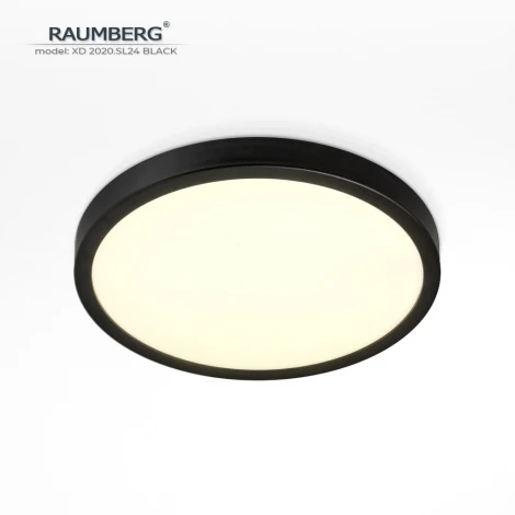 Потолочный светильник светодиодный Raumberg XD2020.SL24 Black
