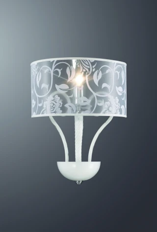 Настенный светильник Odeon Light Danli 2536/1W