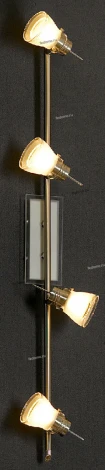 Спот Lussole Asseggiano LSL-7609-04