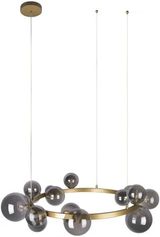 Подвесной светильник Molecule 10139/850 Loft It (220V, на тросе, шар, кольцо)