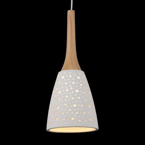 Подвесной светильник ST Luce Clemenza SL288.503.01