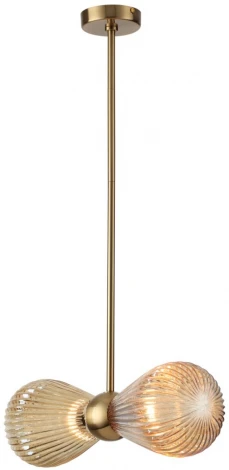 Потолочная люстра на штанге Elica 5402/2 Odeon Light (220V)