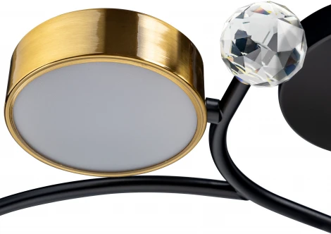 Потолочная люстра светодиодная на штанге с ДУ Ritter Scandia 51599 3