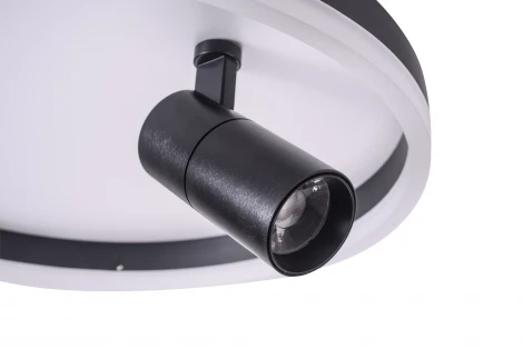 Потолочный светильник круглый со спотом Zortes Raizy ZRS.1888.03 (LED, 220V, круглые)