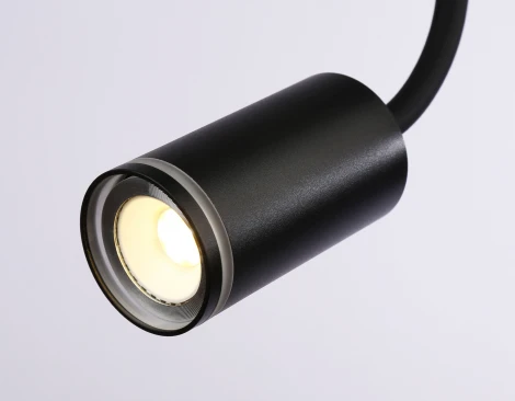 Настенно-потолочный светильник с выключателем Ambrella WALLERS FW2470 (220V)