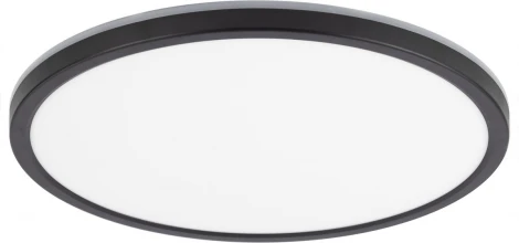 Настенно-потолочный светильник с пультом Citilux Basic Line CL738321EL