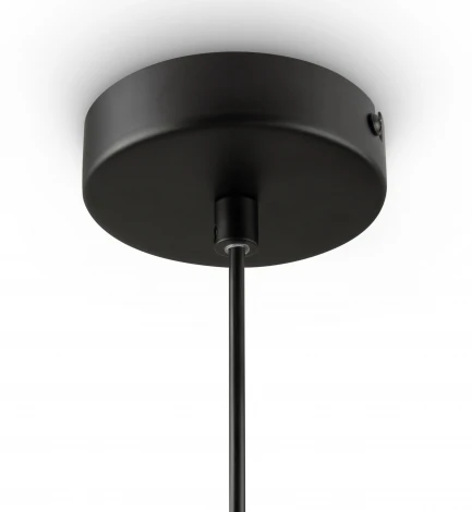 Подвесной светильник Freya Tesse FR1011PL-01B2 (220V, на проводе)