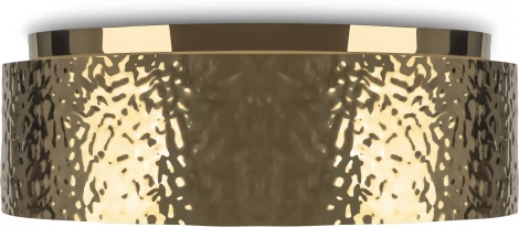 Потолочный светильник круглый Maytoni Ripple MOD096CL-05G