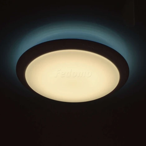 Потолочный светильник MW-Light Ривз 674014201