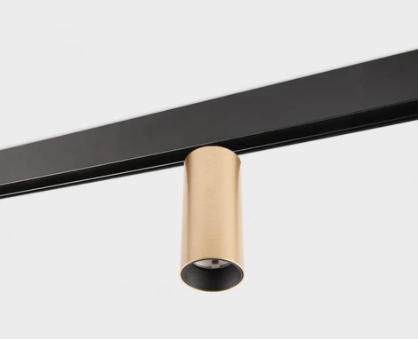 Трековый светильник магнитный 12W 48V Italline IT012-5026 gold 3000K (LED, круглые)