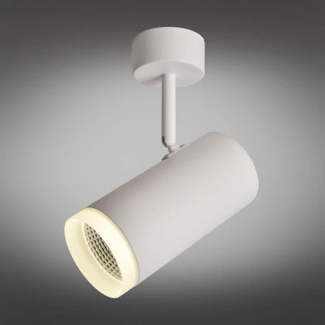 Спот Omnilux Maratea OML-102609-20 (LED, 220V, круглые)