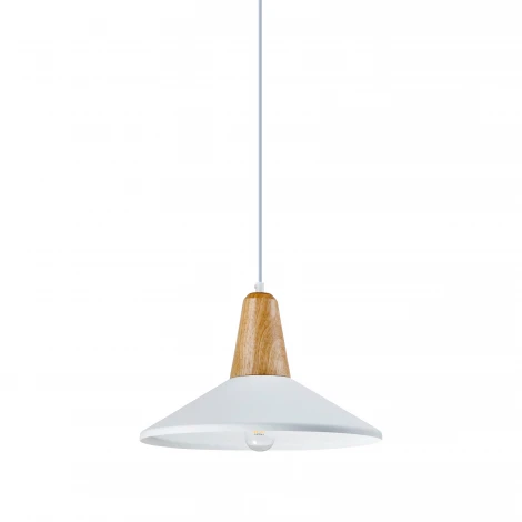 Подвесной светильник Moderli Luce V1571-1P