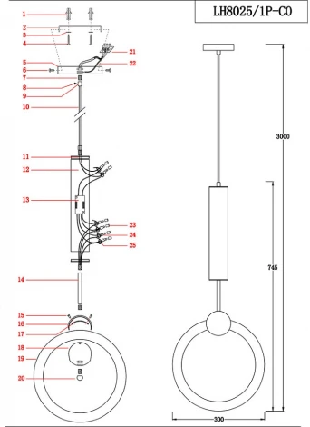 Подвесной светильник Lumien Hall Dorian LH8025/1P-CO