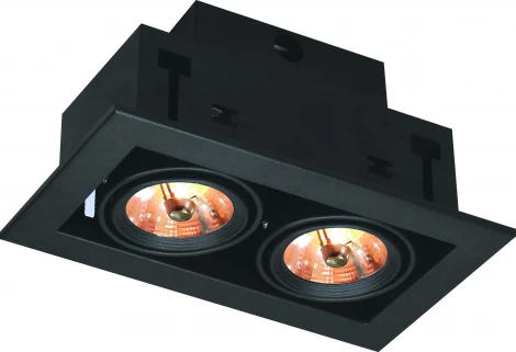 Встраиваемый точечный светильник Arte Lamp Cardani Medio A5930PL-2BK