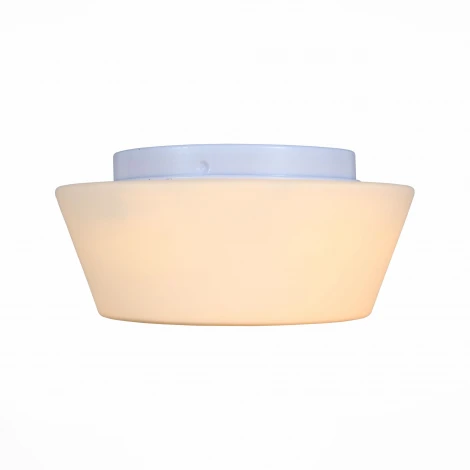 Потолочный светильник ST Luce Adatto SL296.502.02