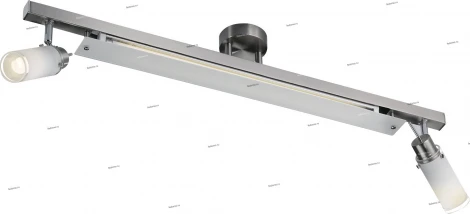 Настенно-потолочный светильник Odeon Light Longo 2134/2C