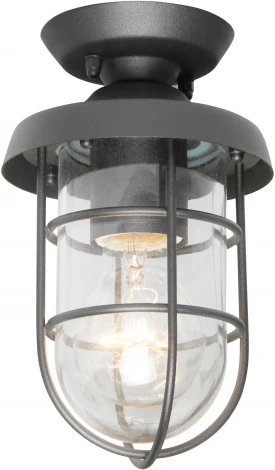 Потолочный светильник уличный Favourite Pointer 3021-1P (220V, IP44)