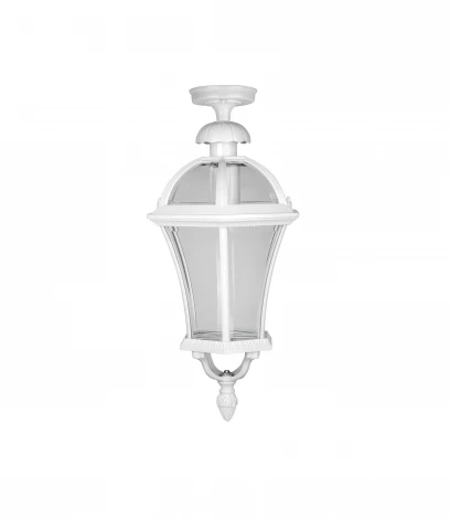 Потолочный светильник уличный Oasis Light ROMA L 95205LA W (220V, IP44)