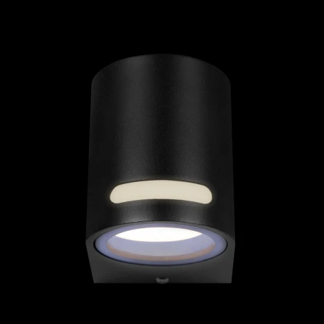 Уличные настенные светильники Loft It Stema 100012/A (220V, IP54)