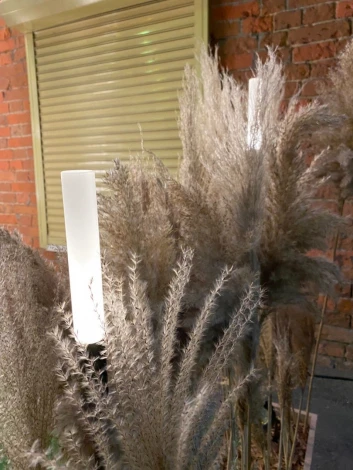 Наземный уличный светильник Камыш LD-RD002