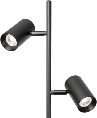 Торшер Citilux Twin CL809011N (LED, 220V, сенсорный выключатель)