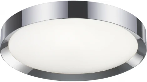 Настенно-потолочный светильник Odeon Light Lunor 4947/60CL