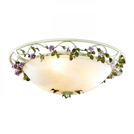 Настенно-потолочный светильник Odeon Light Tender 2796/3C