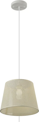 Подвесной светильник Мелодия Света PS1N 000057005