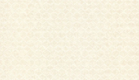 Обои виниловые Marburg Padua Classic 57326 10,05 x 1,06 м