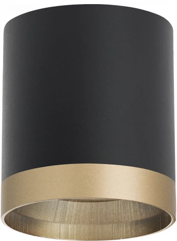 Светильник точечный накладной Lightstar Rullo R348790 (220V, круглые)